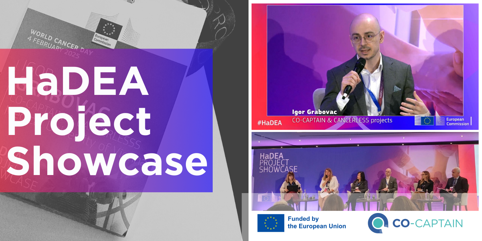 HaDEA Project Showcase
